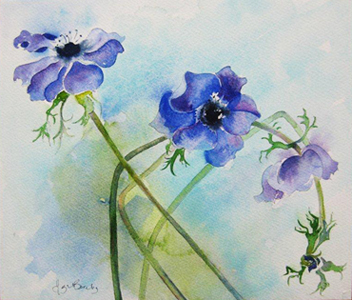 Blue Anemones