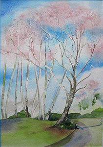 Silver Birch Grove, Watercolour by Hazel Barclay